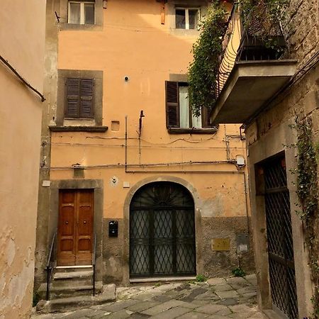 Viterbo Art Apartments 外观 照片